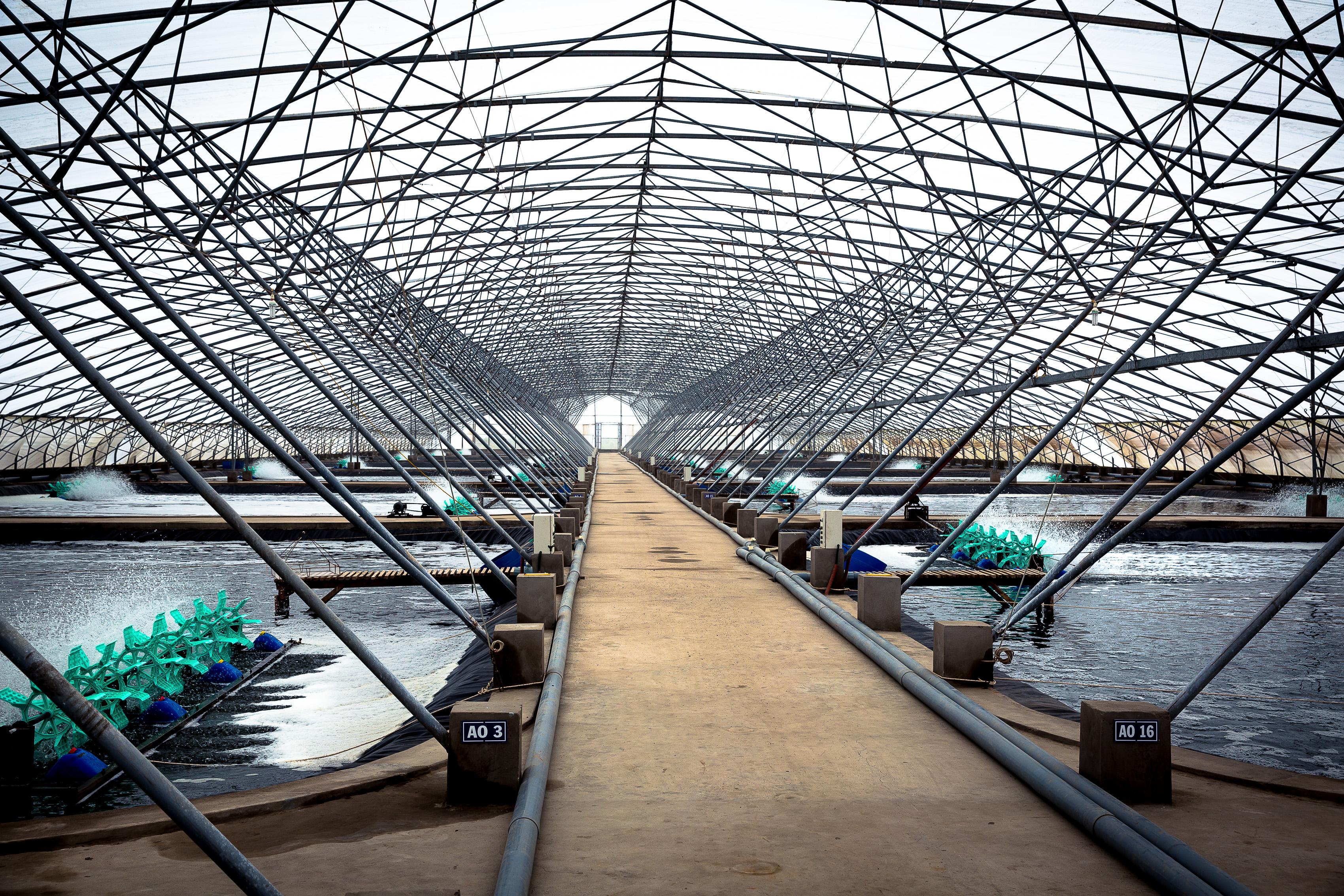 Центр аквакультура. Aquaculture in Vietnam. Аквакультура. Аквакультура вертикальные системы. Аквакультура jcenhs.