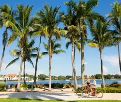 Palm Beaches